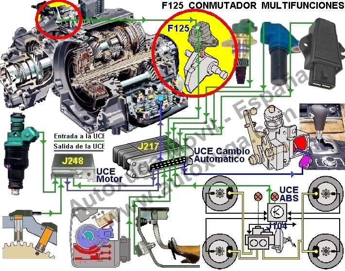 F125 Conmutador multifunción en Cambio Autom.