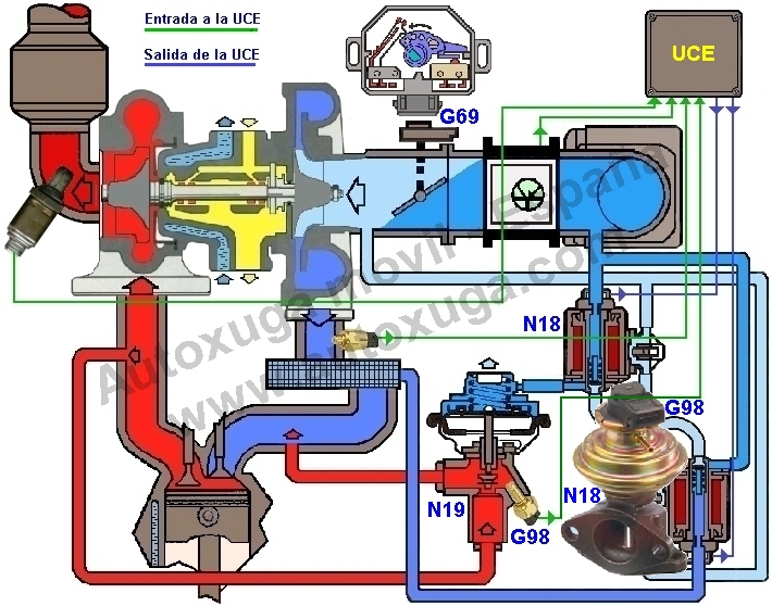 G98  Sensor temperatura vlvula EGR