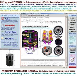 Formacion