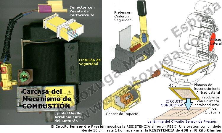 Pretensor cinturon, airbag lateral y ocupantes