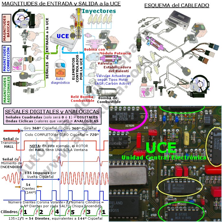 Cableado electrico y señales motor y UCE