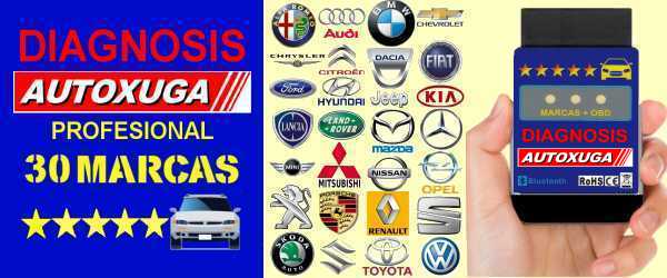 Aplicaciones diagnosis coches profesionales 30 marcas