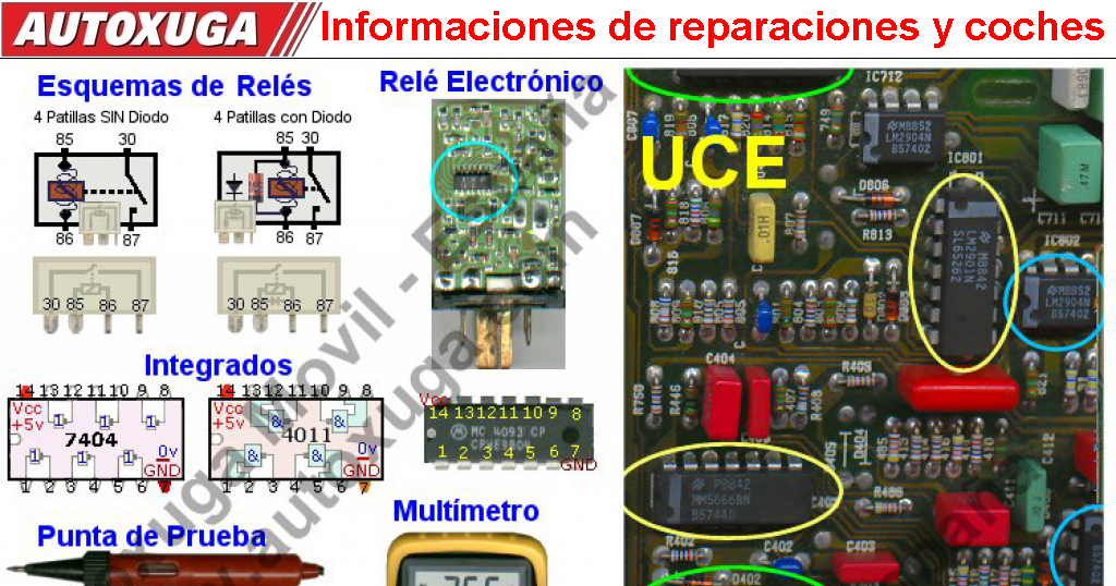 l-jetronic vs motronic