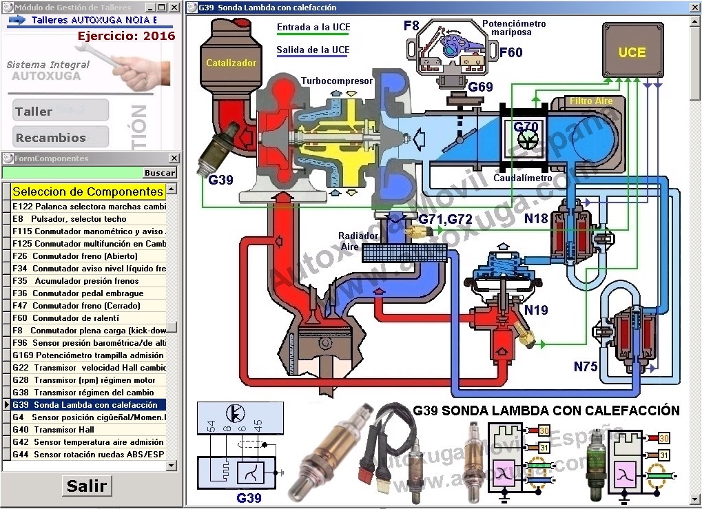 Sonda lambda normal y calefactada con su ubicacion