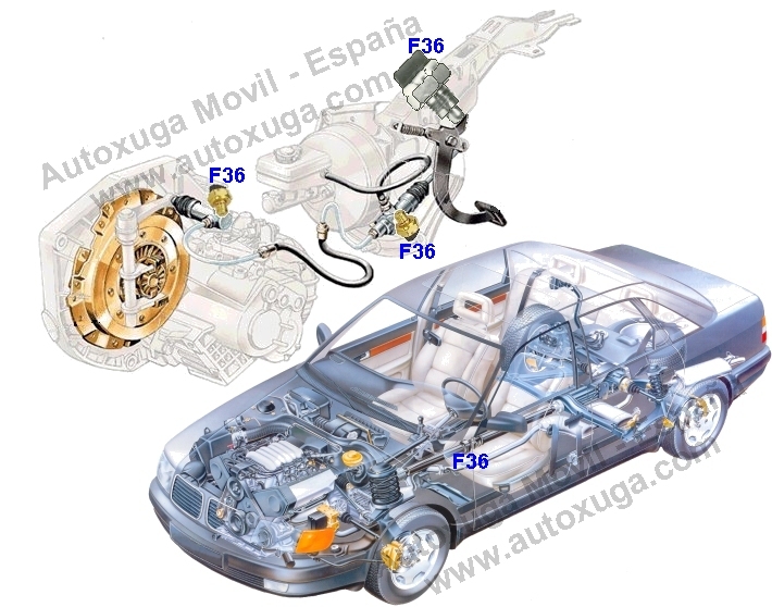 F36  Conmutador pedal embrague