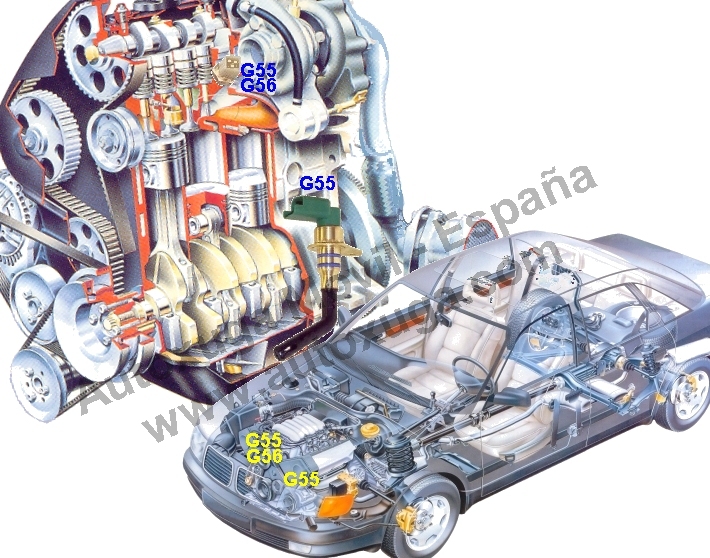 G55  Sensor nivel de aceite