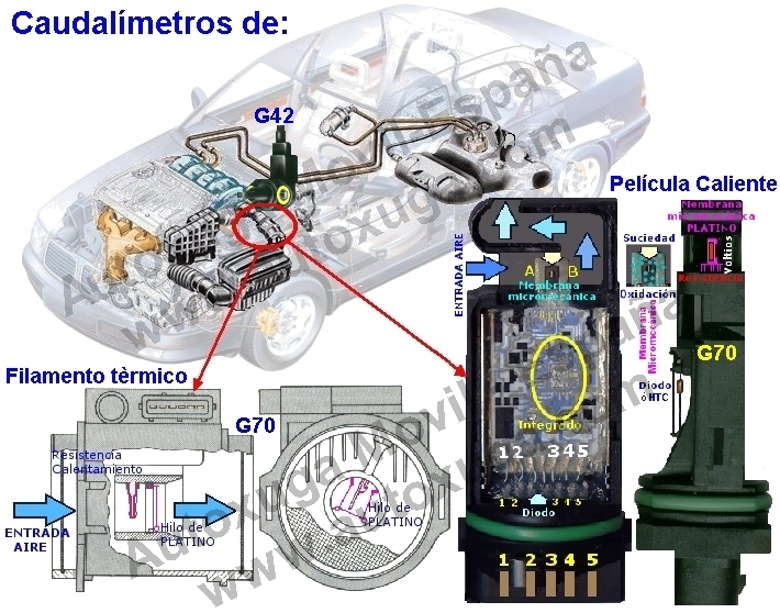 G42  Sensor temperatura aire admisin