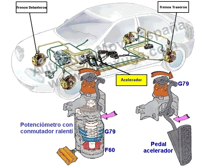 G79  Sensor posicin pedal acelerador