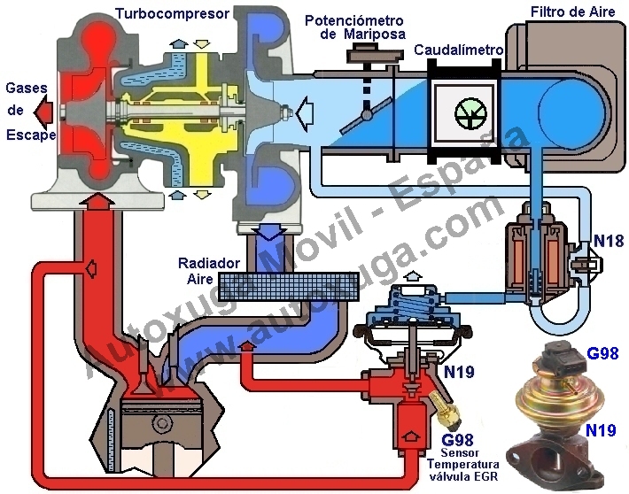 Perspicaz Casarse Ambigüedad N19 Valvula EGR con potenciometro