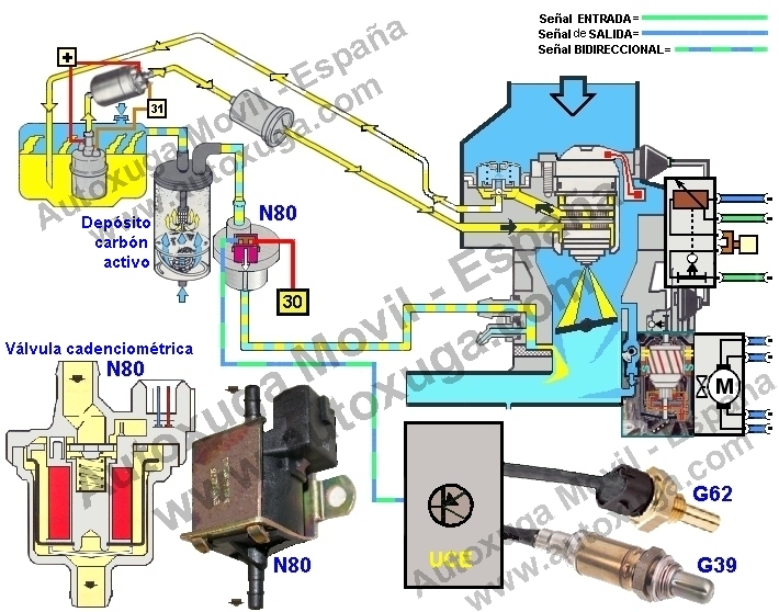 N80  Vlv.electromag. depsito carbn activo