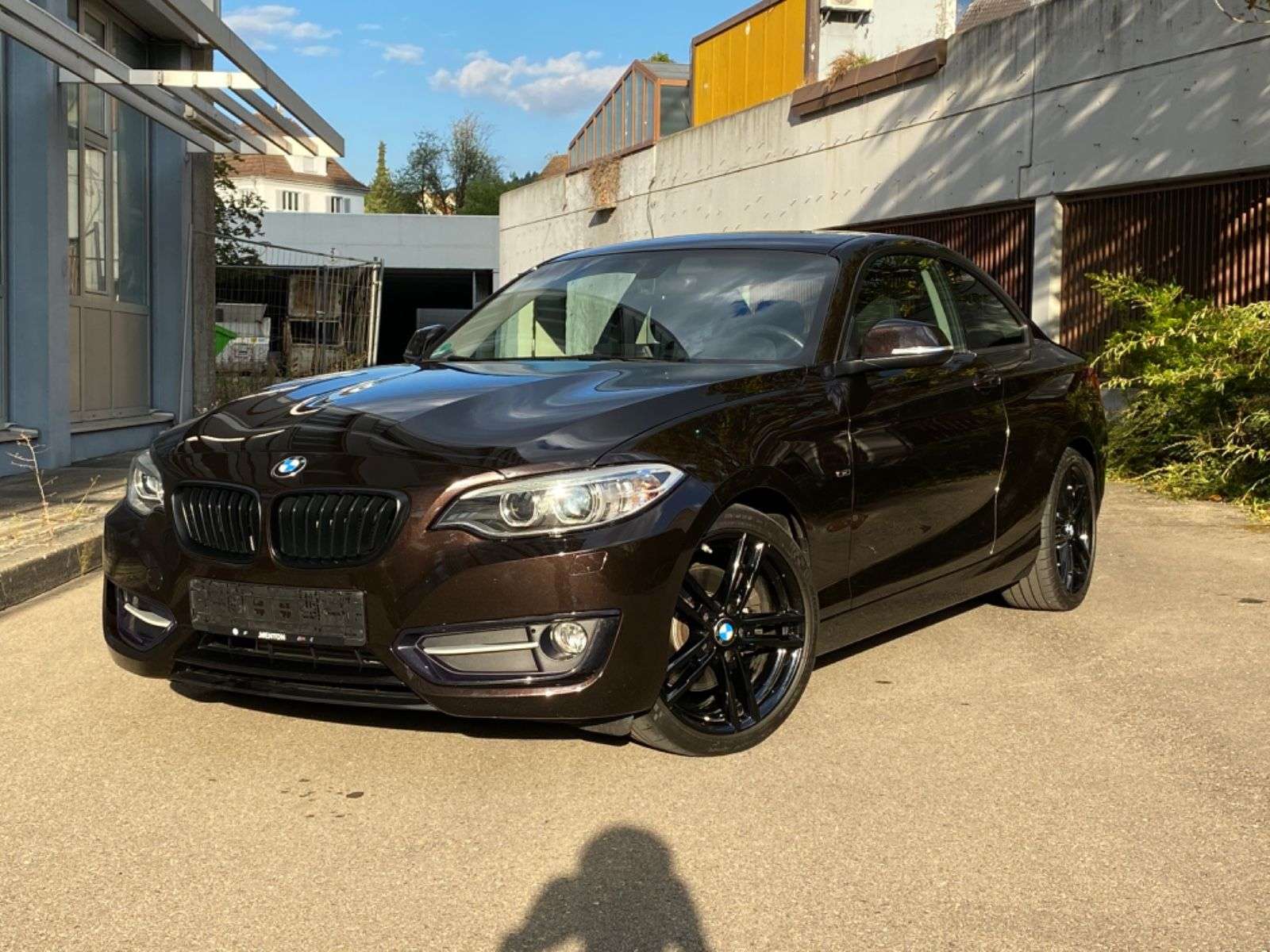 coche bmw 220i Gasolina Alemania - 41916
