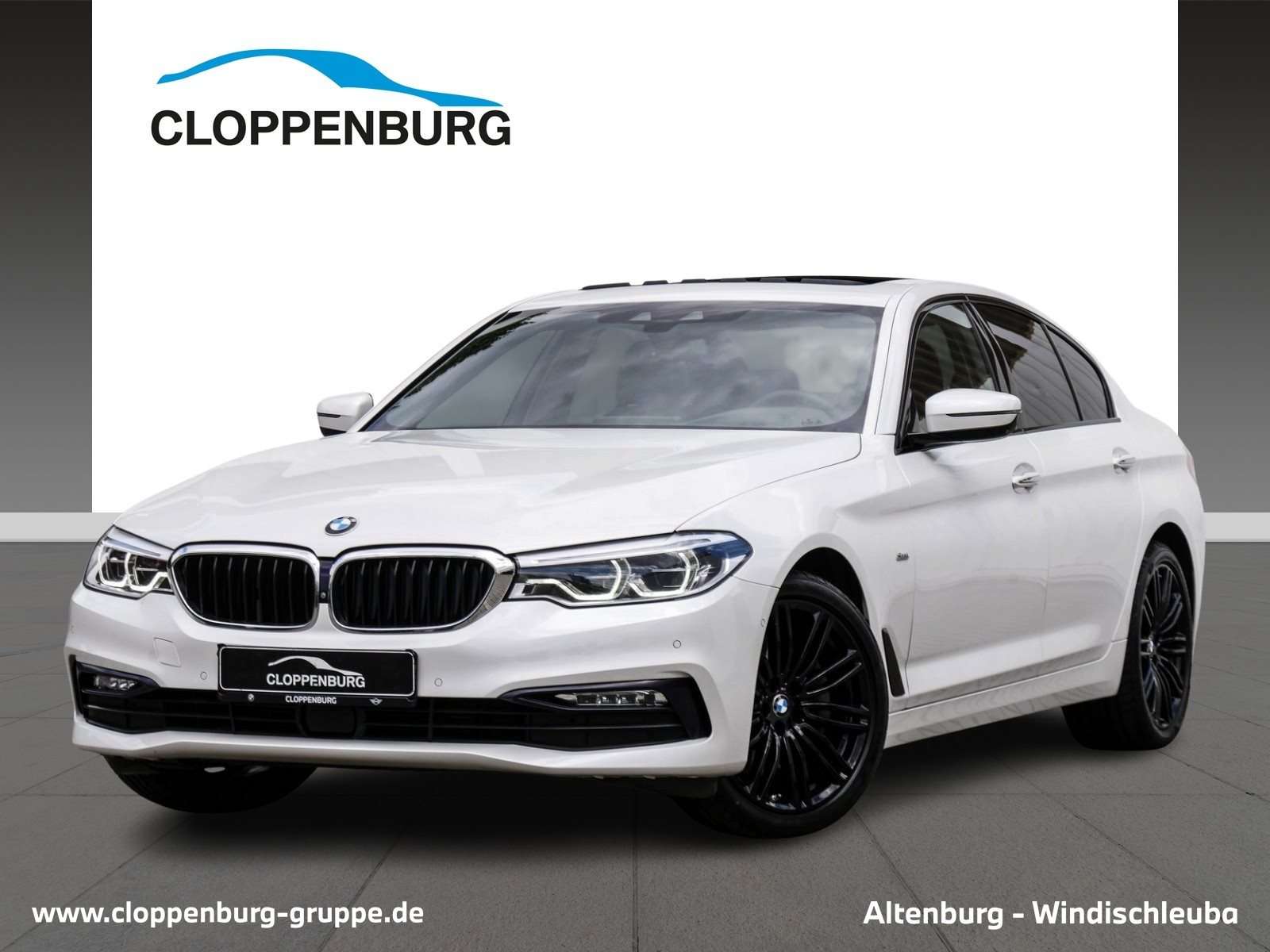 Coche BMW 530d Diésel 2018 - 30691