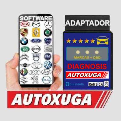 App diagnosis coches