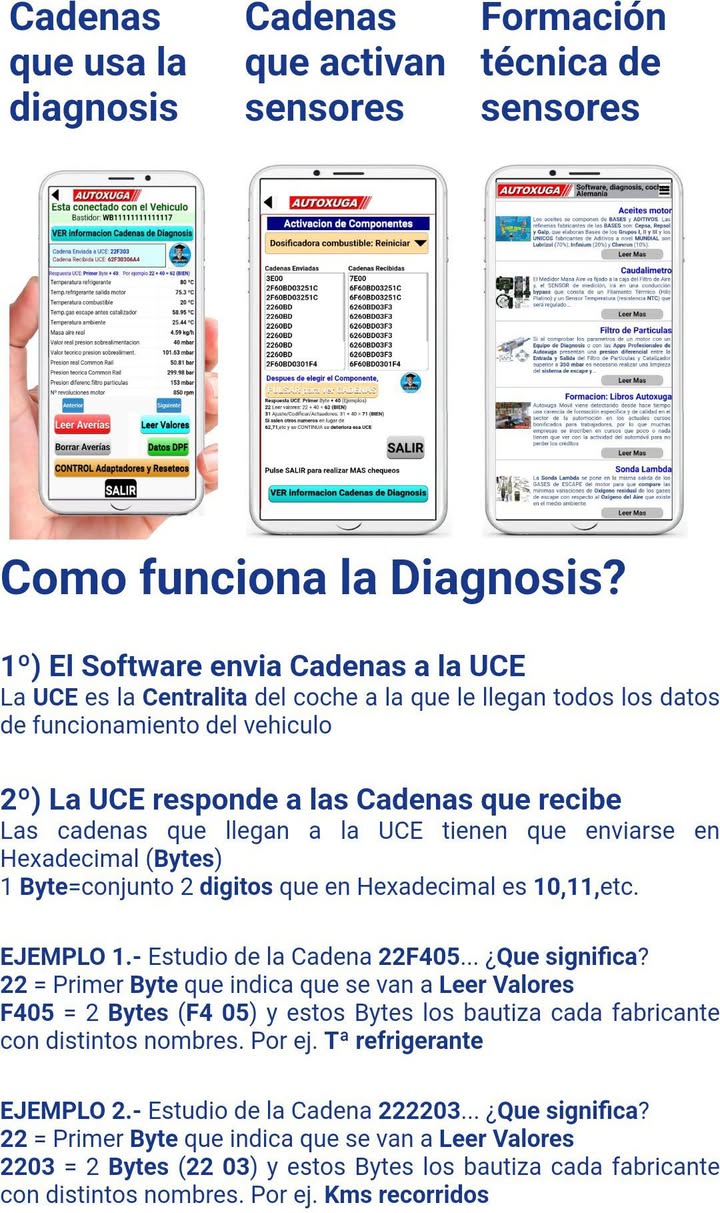 OPORTUNIDAD EMPRENDEDORES: