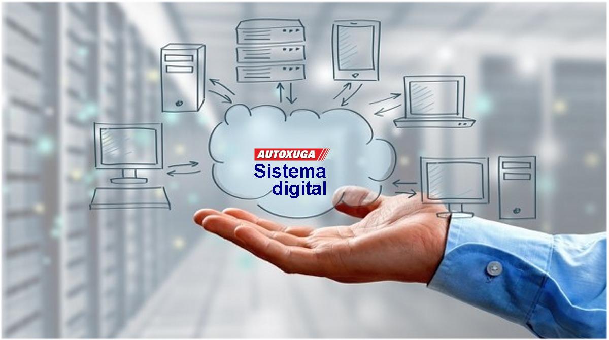 Hemos enviado a varias empresas el sigui