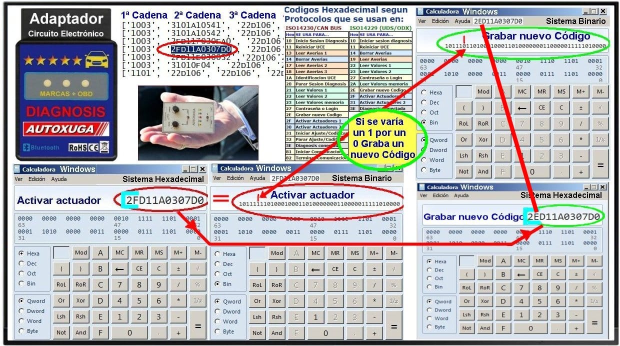 Programé  una charla en internet sobre 