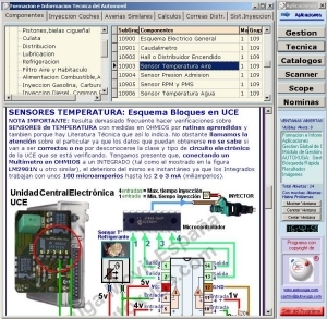 Formacion continua de los trabajadores