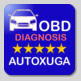Diagnosis automoviles