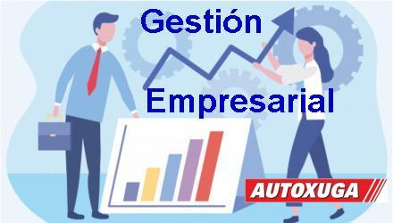 programa gestion empresarial