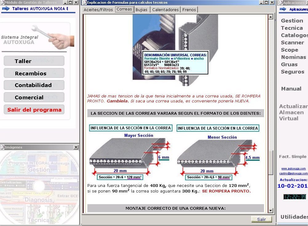 Seccion de una correa de distribucion y formato del diente