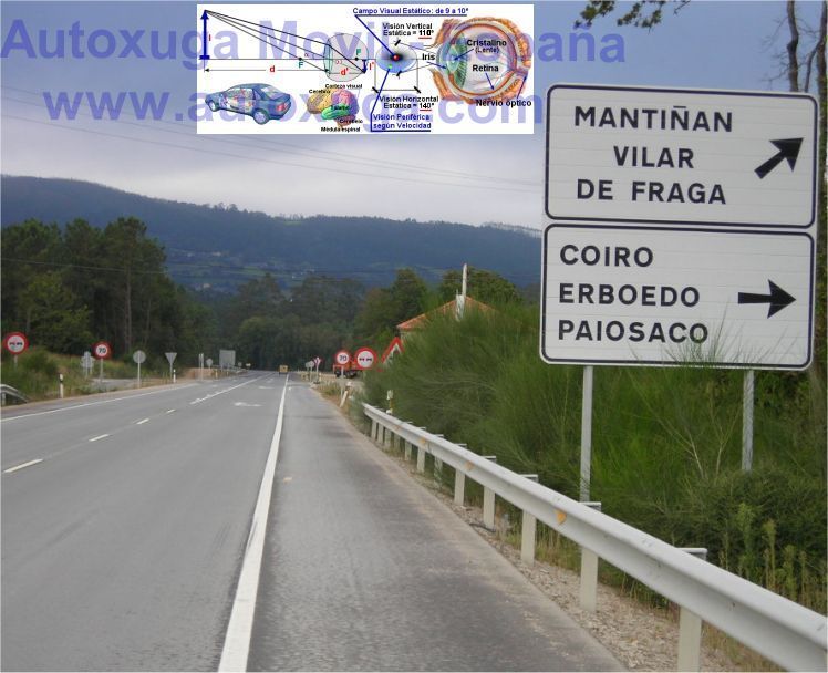 Excesivas seales e informaciones en las carreteras